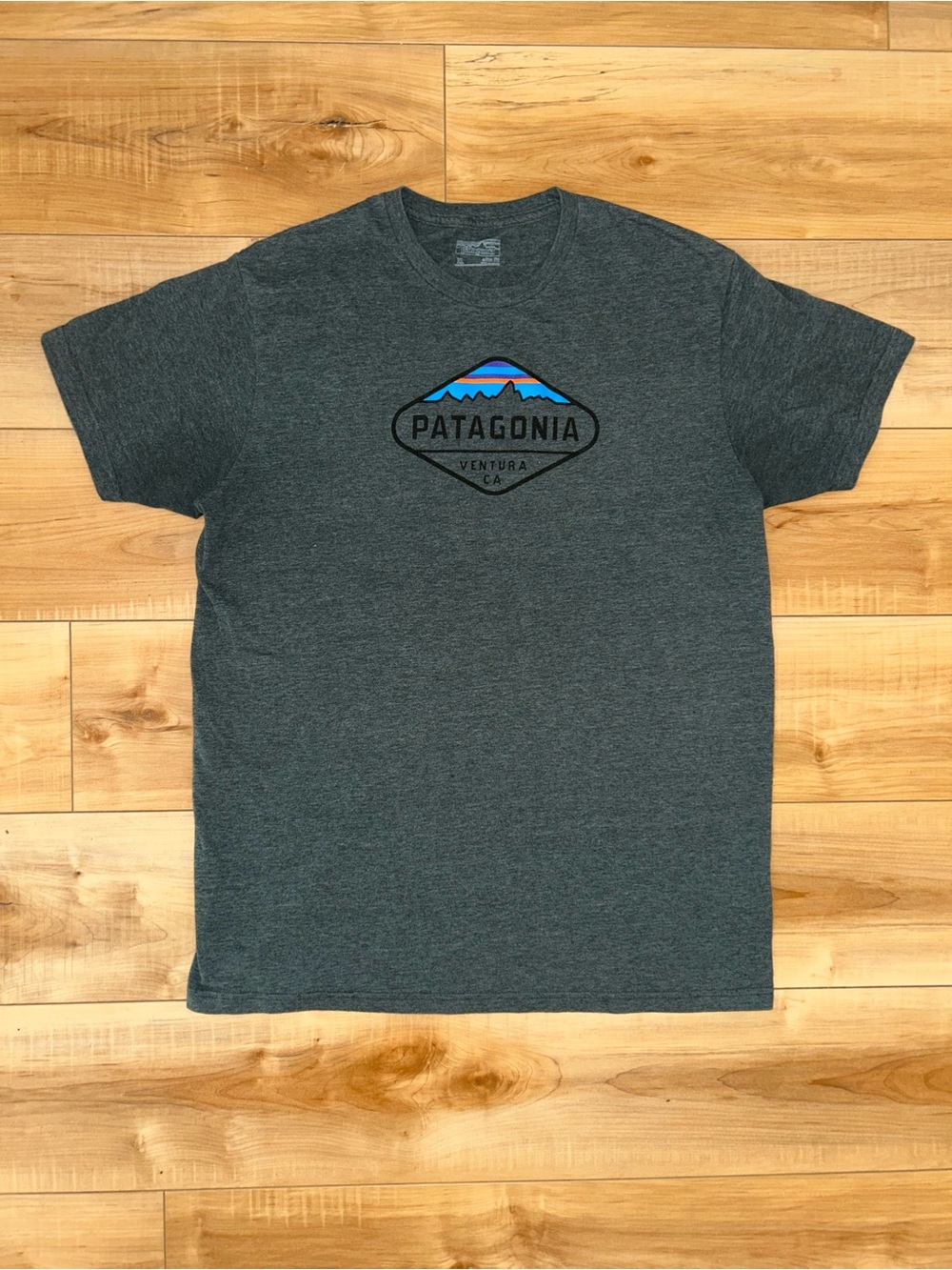 Patagonia Fitz Roy Crest Organic Cotton T Shirt Men's XL Gorpcore